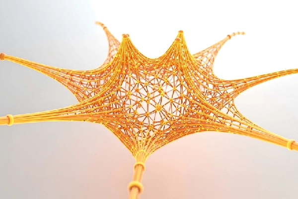 5ps-brand-dna-communications-cta
